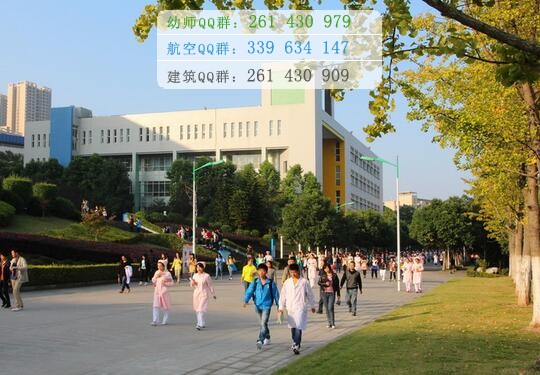 重慶三峽醫(yī)藥高等?？茖W校