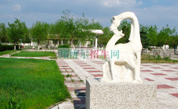 大慶醫(yī)學高等?？茖W校