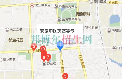 安徽中醫(yī)藥高等?？茖W(xué)校