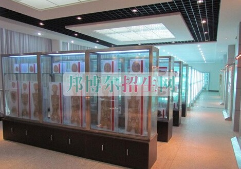 益陽醫(yī)學(xué)高等?？茖W(xué)校