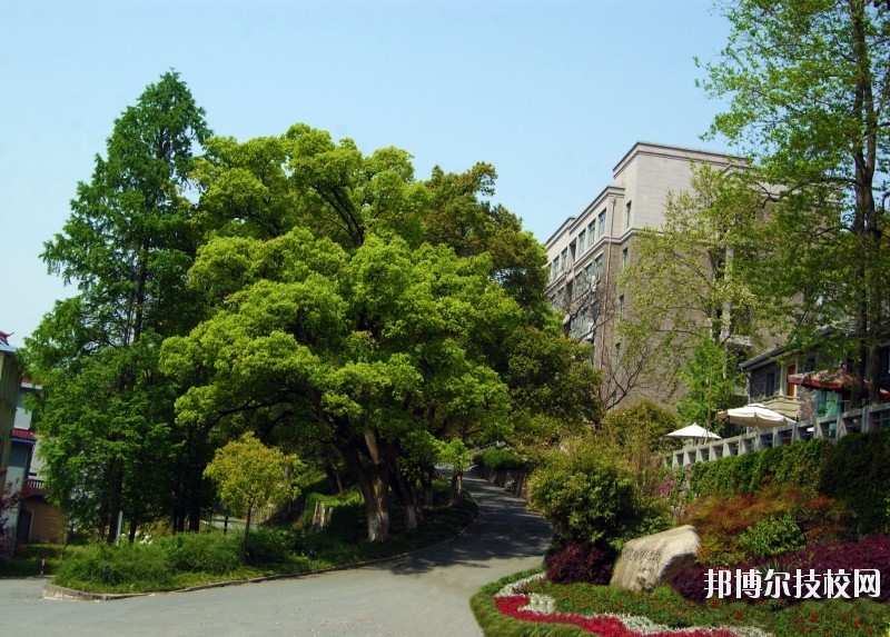 中國(guó)美術(shù)學(xué)院附屬中等美術(shù)學(xué)校2020年報(bào)名條件、招生要求、招生對(duì)象