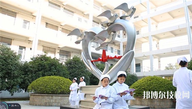 湖州中等衛(wèi)生專業(yè)學校2020年招生錄取分數線