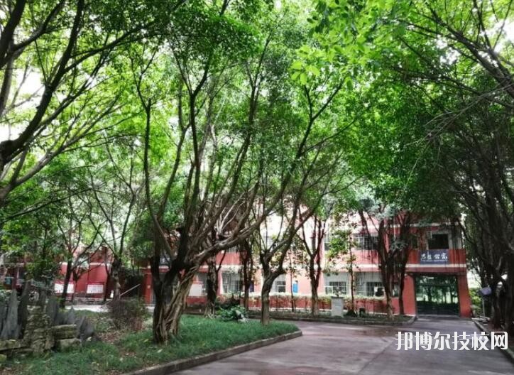 重慶舞蹈學校2020年報名條件、招生要求、招生對象