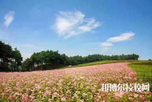 畢節(jié)七星關中等職業(yè)學校怎么樣、好不好