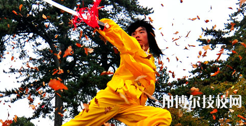 平?jīng)鲠轻嘉奈鋵W(xué)校2020年報(bào)名條件、招生要求、招生對(duì)象