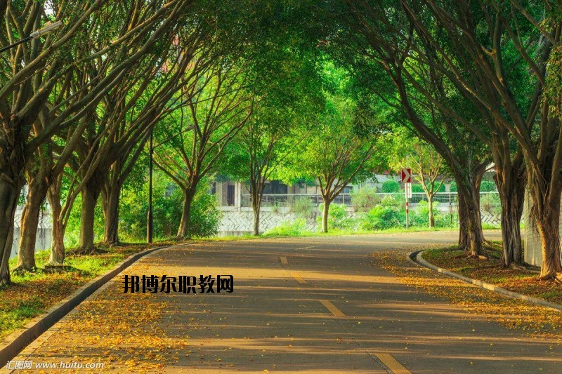 仙桃金園職業(yè)高級中學(xué)2020年報名條件、招生要求、招生對象