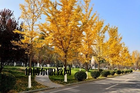 蘄春李時珍中等專業(yè)學(xué)校怎么樣、好不好
