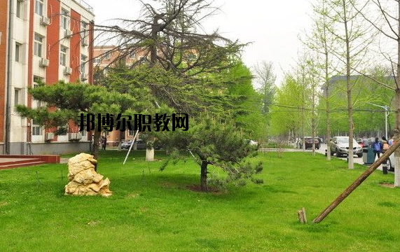 鄭州青年職業(yè)中等專業(yè)學校2021年報名條件、招生要求