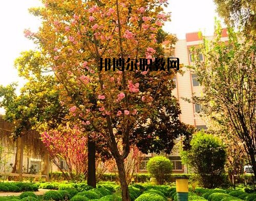 新鄉(xiāng)工業(yè)學(xué)校2021年報名條件、招生對象