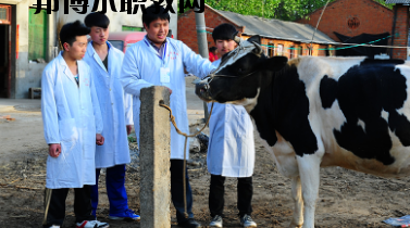 甘南畜牧學(xué)校2020年學(xué)費(fèi)、收費(fèi)多少