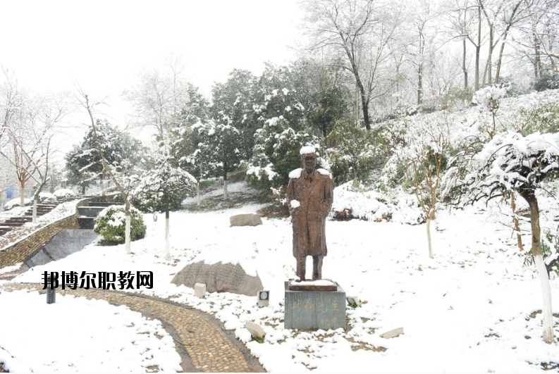 南京工業(yè)大學(xué)2020年報(bào)名條件、招生要求、招生對象
