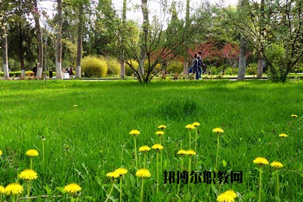 雙江縣職教中心怎么樣、好不好