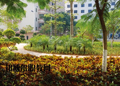 湛江技師學院怎么樣、好不好