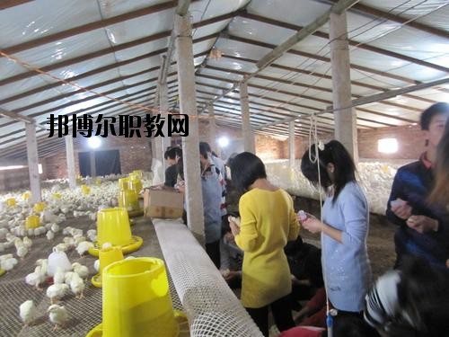 通許中等職業(yè)學(xué)校2021年學(xué)費(fèi)、收費(fèi)多少