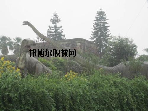 自貢三星職業(yè)技術(shù)學(xué)校2020年報(bào)名條件、招生要求、招生對(duì)象