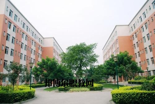 成都信息工程職業(yè)技術(shù)學(xué)校2020年報(bào)名條件、招生要求、招生對象