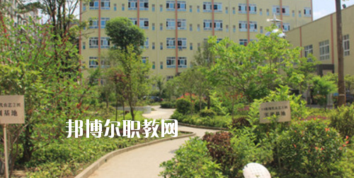 道真中等職業(yè)學(xué)校2020年報名條件、招生要求、招生對象