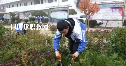 秦安縣古城農(nóng)業(yè)中學(xué)怎么樣、好不好