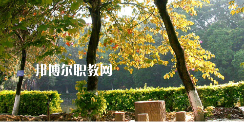 廣西民族中等專業(yè)學校怎么樣、好不好