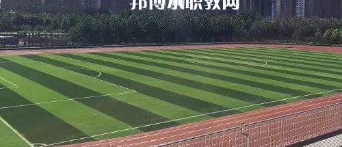 大方縣綜合職業(yè)技術學校網站網址