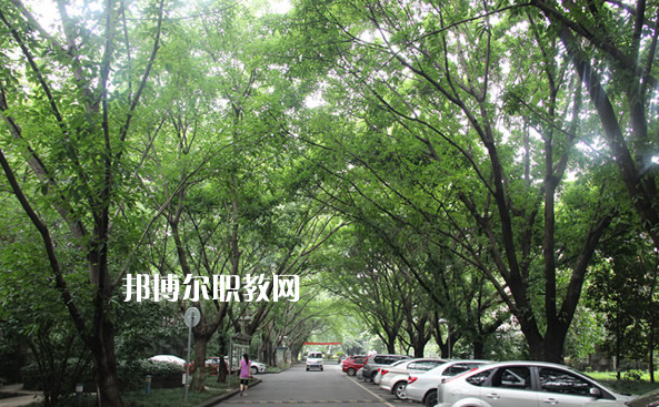 重慶2021年中專學?？梢钥即髮W嗎