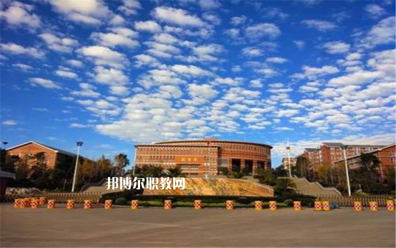 保山中醫(yī)藥高等?？茖W校網(wǎng)站網(wǎng)址