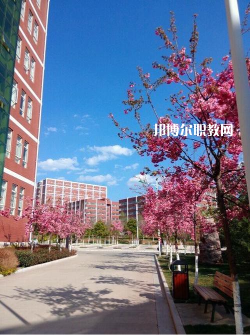 云南藝術(shù)學校2021年招生簡章