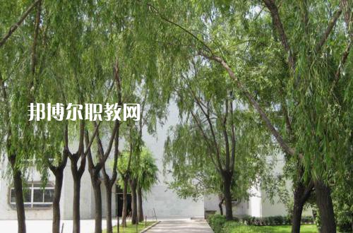 新疆喀什地區(qū)衛(wèi)生學(xué)校2021年報名條件、招生要求、招生對象