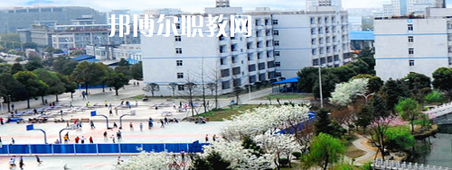 四川交通職業(yè)技術(shù)學(xué)院2022年招生辦聯(lián)系電話(huà)