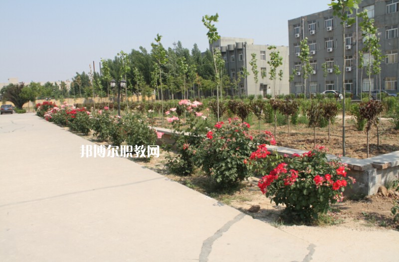 武強綜合職業(yè)技術(shù)教育中心2022年報名條件、招生要求、招生對象