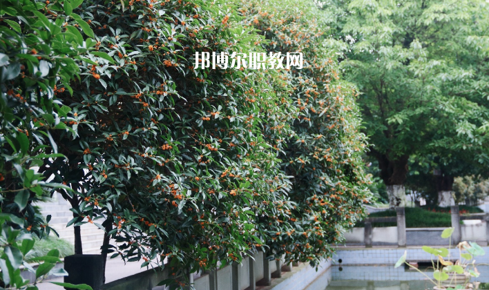 德陽(yáng)通用電子科技學(xué)校怎么樣、好不好