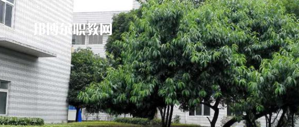成都市中山職業(yè)技術(shù)學(xué)校2022年報(bào)名條件、招生要求、招生對(duì)象