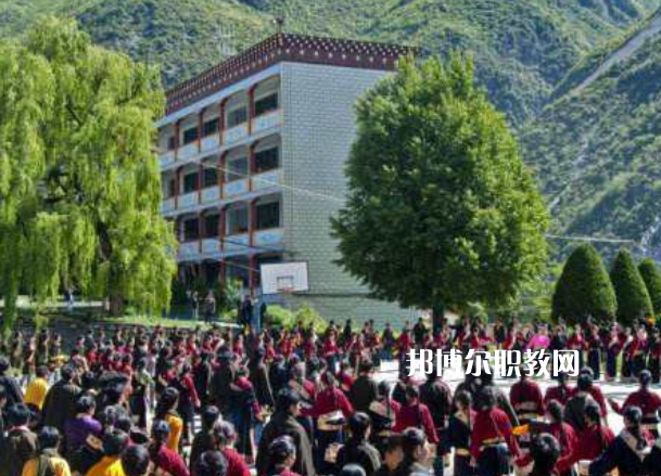 四川省藏文學校2022年報名條件、招生要求、招生對象