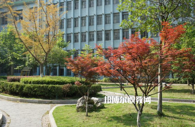 廉江市衛(wèi)生職業(yè)技術(shù)學(xué)校怎么樣、好不好