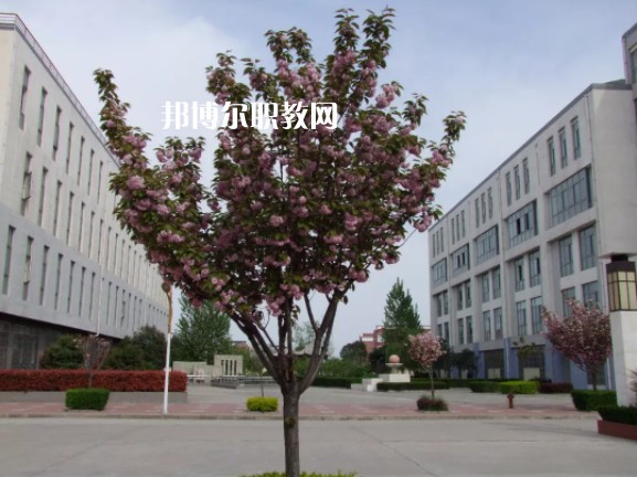 陳倉(cāng)區(qū)職業(yè)教育中心2022年報(bào)名條件、招生要求、招生對(duì)象
