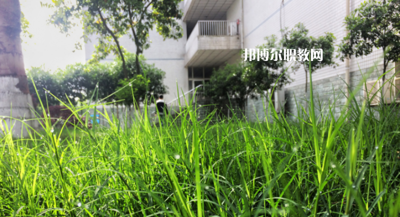 樂(lè)山計(jì)算機(jī)學(xué)校2022年學(xué)費(fèi)、收費(fèi)多少