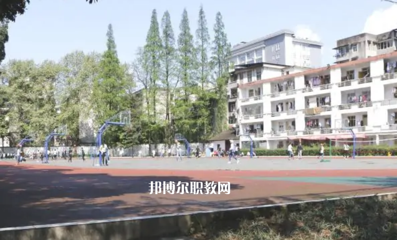 鹽津縣職業(yè)高級中學2022年招生錄取分數線