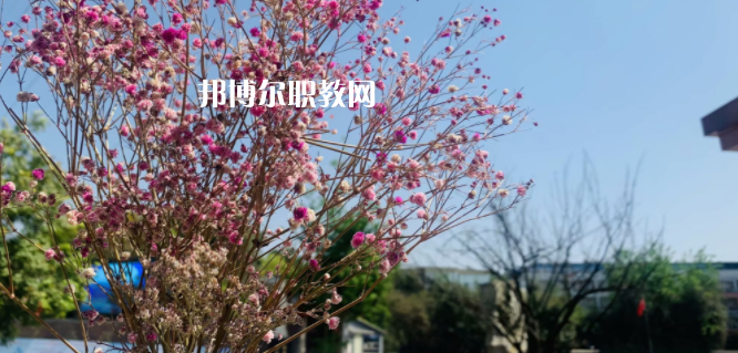 成都華大醫(yī)藥衛(wèi)生學(xué)校怎么樣、好不好