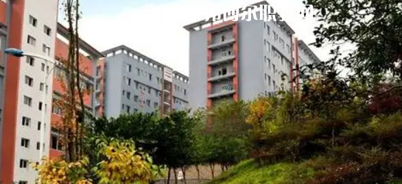 四川市綿竹職業(yè)中專學(xué)校2022年報(bào)名條件、招生要求、招生對(duì)象