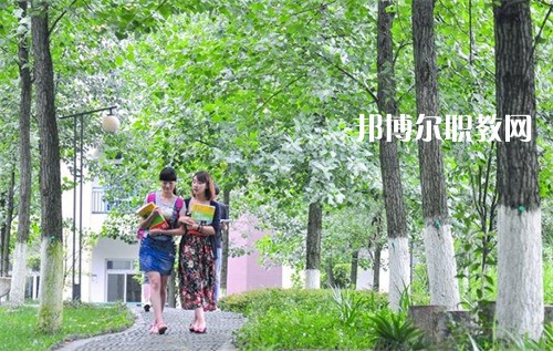 四川外國(guó)語(yǔ)大學(xué)成都學(xué)院中高職銜接部2022年招生辦聯(lián)系電話(huà)