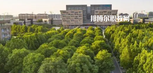 2023山東十大?？茖W(xué)校名單及排行榜