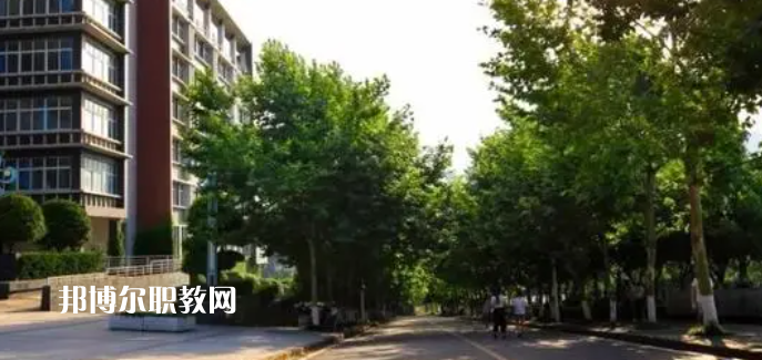 重慶醫(yī)藥高等?？茖W(xué)校好不好_2023年有單招嗎