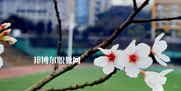 2023眉山技師學(xué)院招生計(jì)劃 招生人數(shù)是多少(附要求、條件、對(duì)象)