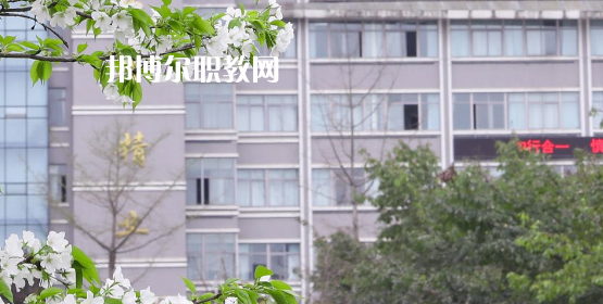 2023眉山技師學(xué)院多少錢(qián)(學(xué)費(fèi)明細(xì))