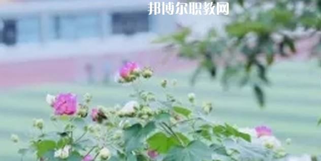 眉山技師學(xué)院地址在哪里，哪個(gè)地區(qū)，哪個(gè)城市?