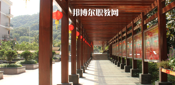 2023杭州市城西中學(xué)職高部招生計(jì)劃 招生人數(shù)是多少(附要求、條件、對(duì)象)
