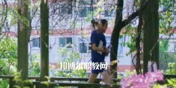 2023金華市成功學(xué)校招生計(jì)劃 招生人數(shù)是多少(附要求、條件、對(duì)象)