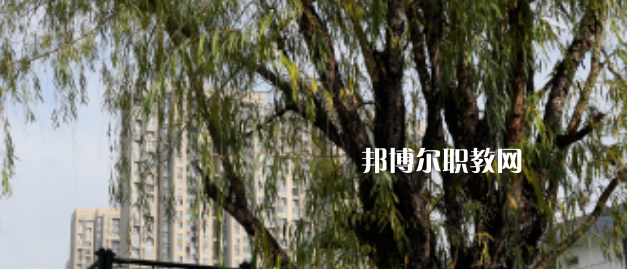 西安東方藝術職業(yè)學校地址在哪里，哪個地區(qū)，哪個城市?