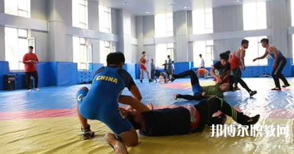 石家莊市體育運動學校網(wǎng)站網(wǎng)址主頁