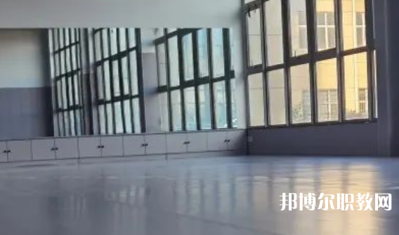 2023秦皇島市藝新舞蹈學(xué)校招生計劃 招生人數(shù)是多少(附要求、條件、對象)